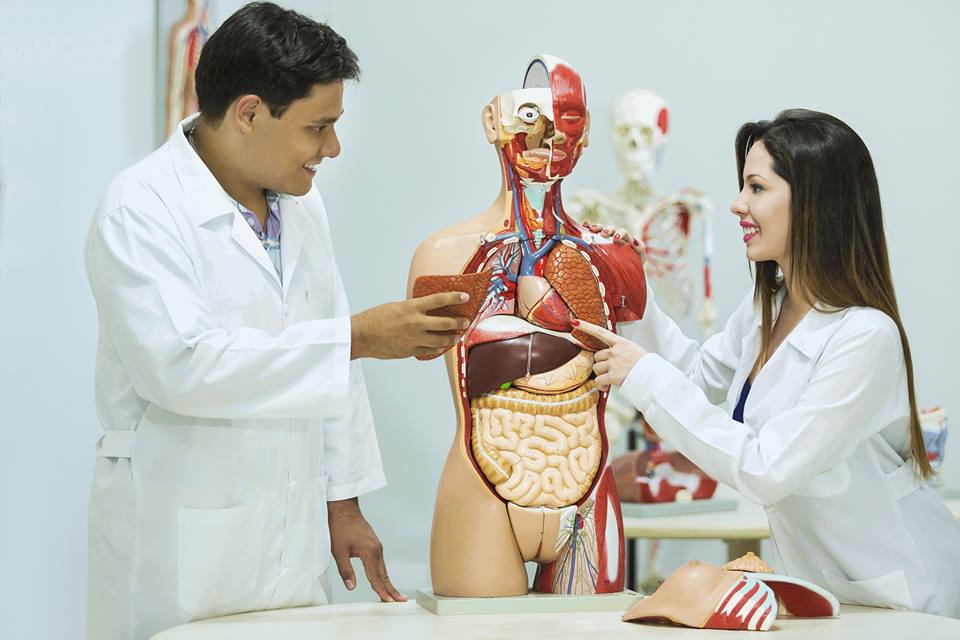 Enfermagem da Faculdade Unicampo – curso de quatro anos