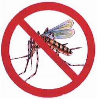 Faculdade Unicampo participará de arrastão contra a dengue
